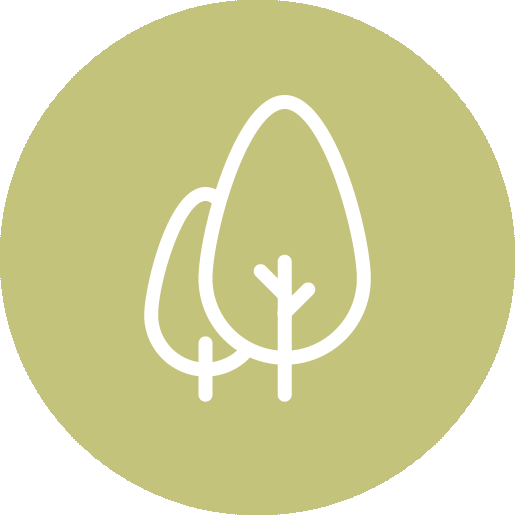 Forêt
