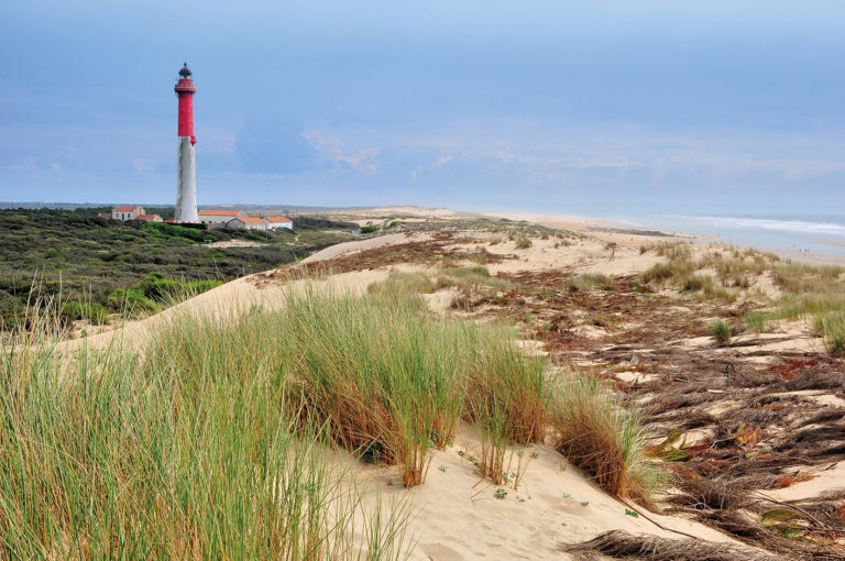 La mer et le phare de la Coubre vus depuis les dunes près de La Tremblade